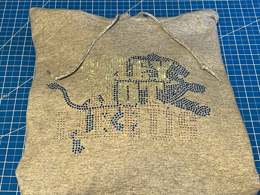 They Not Like Us RS Hoodie